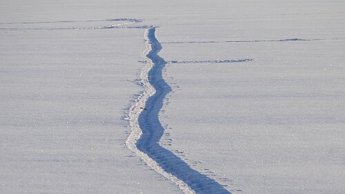 Vuollerim – Östersund Hmm, was liegt denn da in der Spur? Auch wenn man ran zoomt kann man es nicht so genau erkennen.