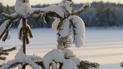 Vuollerim – Östersund Schnee, kalt, Sonne, schön...
