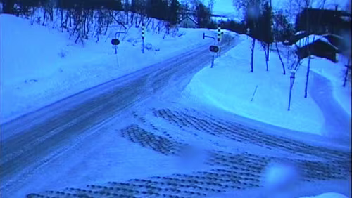 Kuriose Aufnahmen Was sind das für komischen Streifen da?