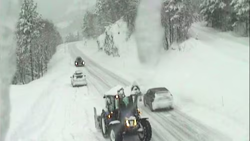 Kuriose Aufnahmen Ordentlich Schnee