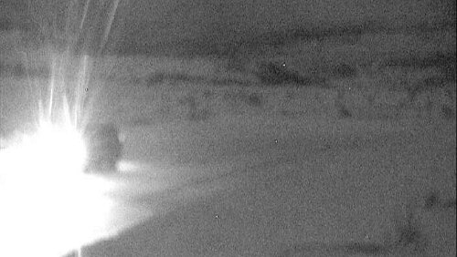 Kuriose Aufnahmen Sieht nach dem letzten Fahrzeug der Kolonne aus