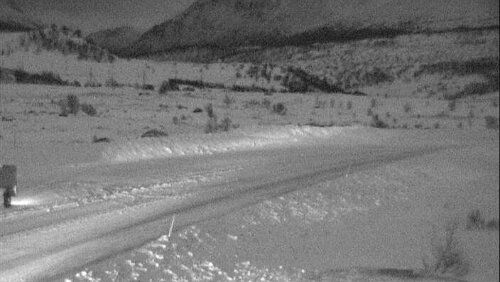 Kuriose Aufnahmen Sieht nach dem letzten Fahrzeug der Kolonne aus