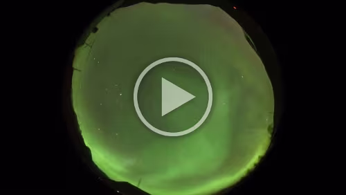 WebCam Polarlys – Tromsø - all-sky camera / Ein schöner Ausbruch ist zu sehen am 27.09.2019, 21 Uhr