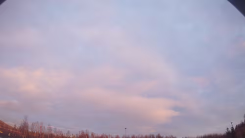 Kurios Das Auto der Besucher.