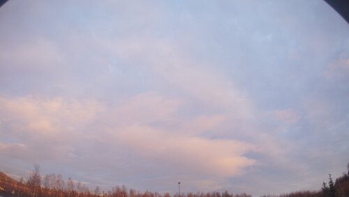 Kurios Das Auto der Besucher.