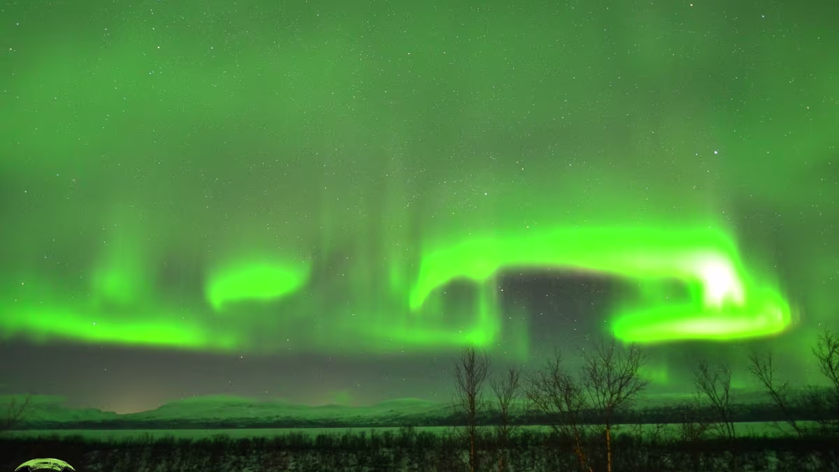 Besondere und kuriose Einzelaufnahmen Wenn man sich täglich durch ein paar tausend „Thumbnails“ wühlt fallen große Abweichungen schon ziemlich eindeutig ins...