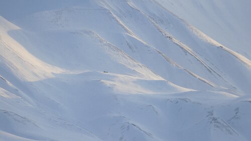 Fjordcruise towards the Esmark Glacier & Barentsburg Sehr einsam gelegen.