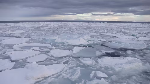 Fjordcruise towards the Esmark Glacier & Barentsburg Wir fahren durch das Treibeis durch.