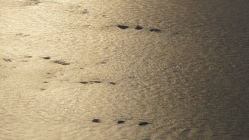 Longyearbyen – Tromsø Die ersten Inseln des Festlandes.