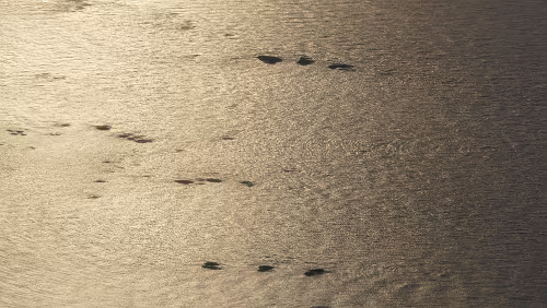 Longyearbyen – Tromsø Die ersten Inseln des Festlandes.