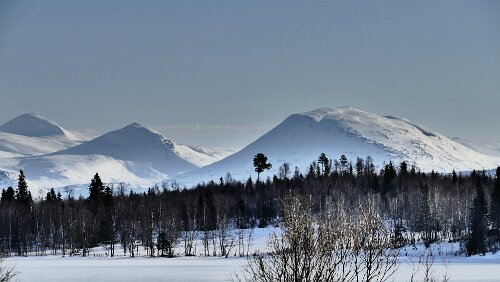 Innhavet – Mosjøen Am Fustvatnet.
