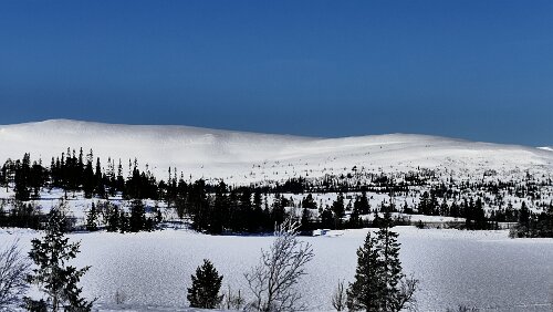 Mosjøen – Trondheim Immer noch am Villmarksveien .