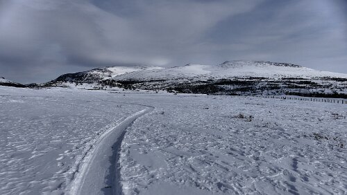 Trondheim – Hamar Der Pfad ist gut zu laufen, aber links und rechts versinkt man sofort mehr als knöcheltief im Schnee.