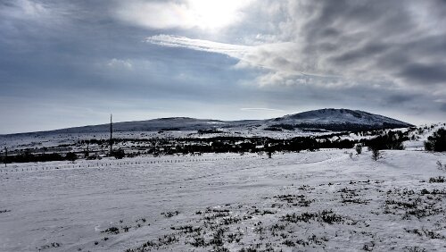 Trondheim – Hamar Im Dovrefjell-Sunndalsfjella-Nationalpark.