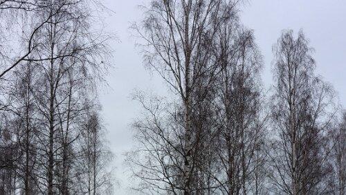 Helsingør – – Helsingborg – Sunne Am Hotel in Sunne, alles grün.