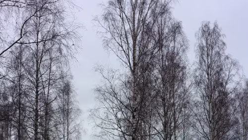 Helsingør – – Helsingborg – Sunne Am Hotel in Sunne, alles grün.