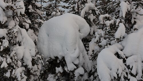 Vuollerim – Tromsø Schnee satt.