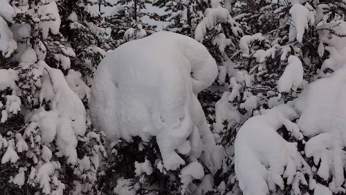 Vuollerim – Tromsø Schnee satt.
