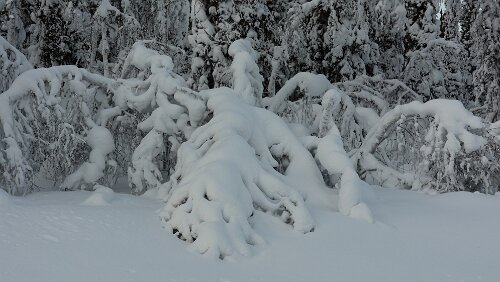 Vuollerim – Tromsø Schnee satt.