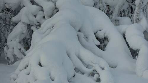 Vuollerim – Tromsø Schnee satt.