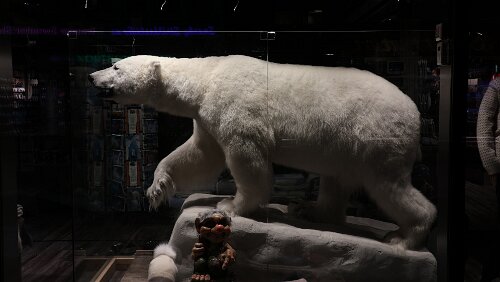 Tromsø Der tut nichts.