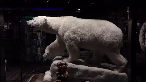 Tromsø Der tut nichts.