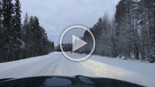 Vuollerim – Tromsø Ein Elch quert die Straße, in sicherer Entfernung.