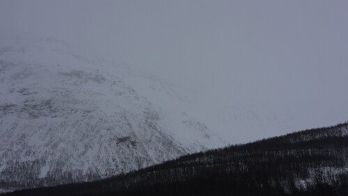 Tromsø – Skarberget – – Bognes – Bodø Tja, von den schönen Bergen ist hier wenig zu sehen, alles steht in einer „Suppe“.
