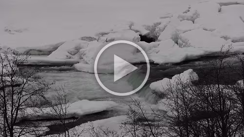 Tromsø – Skarberget – – Bognes – Bodø Der Målselvfossen.