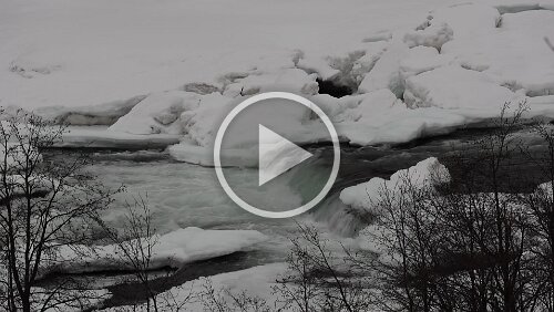 Tromsø – Skarberget – – Bognes – Bodø Der Målselvfossen.