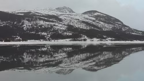 Bodø – Mosjøen An einem Rastplatz am Finneidfjord.