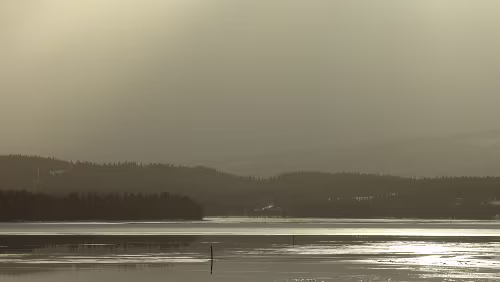Bodø – Mosjøen An einem Rastplatz am Finneidfjord.