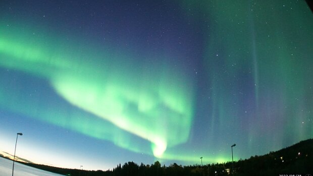 Besondere und kuriose Einzelaufnahmen