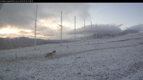 Schnee Der erste leichte Schneefall und ein paar Rentiere streifen herum.