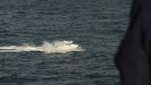 Føroyar Der flitzt noch knapp vor uns vorbei.