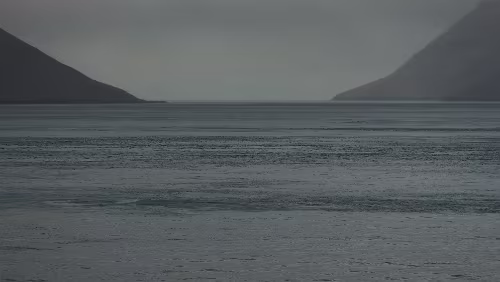 Føroyar Alles grau.