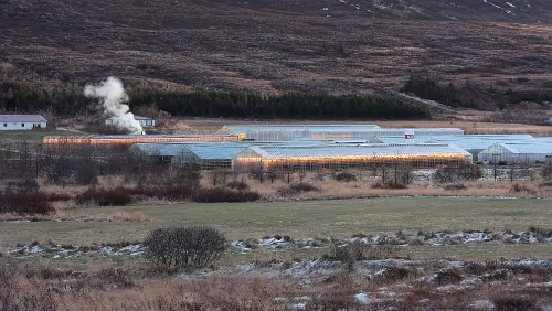 Mývatn – Varmahlíð Die Gewächshäuser sind teilweise auch hell erleuchtet.