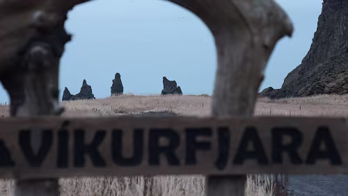 Vík í Mýrdal Víkurfjara / Black Sand Beach