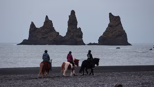 Vík í Mýrdal Ganz gemächlich trabt die kleine Gruppe am Lavastrand vor mir vorbei.