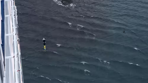 Tórshavn An dieser Markierung muss der Kapitän vorbei. Nur wenige Meter hinten dran sieht man schon die ersten Klippen.