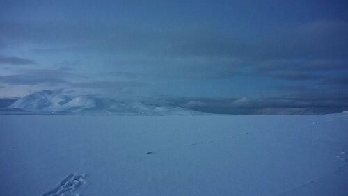 Snowmobile Safari to Grønfjorden Der zugefrorene Grønfjorden.