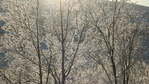Bodø – Mosjøen Wunderbares Wetter bei -20°C.