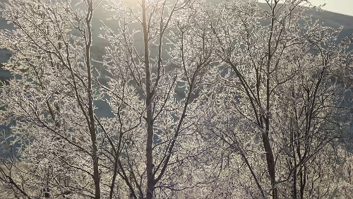 Bodø – Mosjøen Wunderbares Wetter bei -20°C.