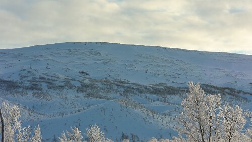 Bodø – Mosjøen Wunderbares Wetter bei -20°C.