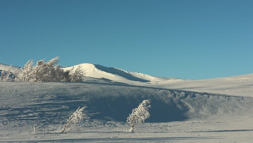 Bodø – Mosjøen Wunderbares Wetter bei -20°C.