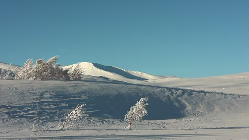Bodø – Mosjøen Wunderbares Wetter bei -20°C.
