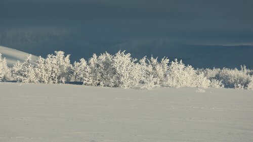 Bodø – Mosjøen Wunderbares Wetter bei -20°C.
