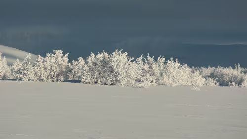 Bodø – Mosjøen Wunderbares Wetter bei -20°C.