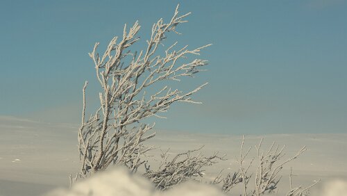 Bodø – Mosjøen Wunderbares Wetter bei -20°C.