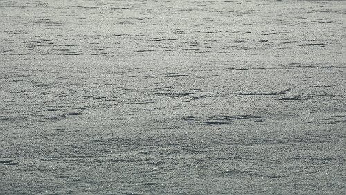 Trondheim – Lillehammer Die oberste Schicht Schnee ist zwar fest, aber man bricht trotzdem gleich tief ein.